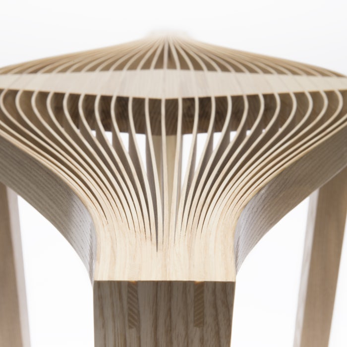 Elizabeth Torgerson-Lamark Ike