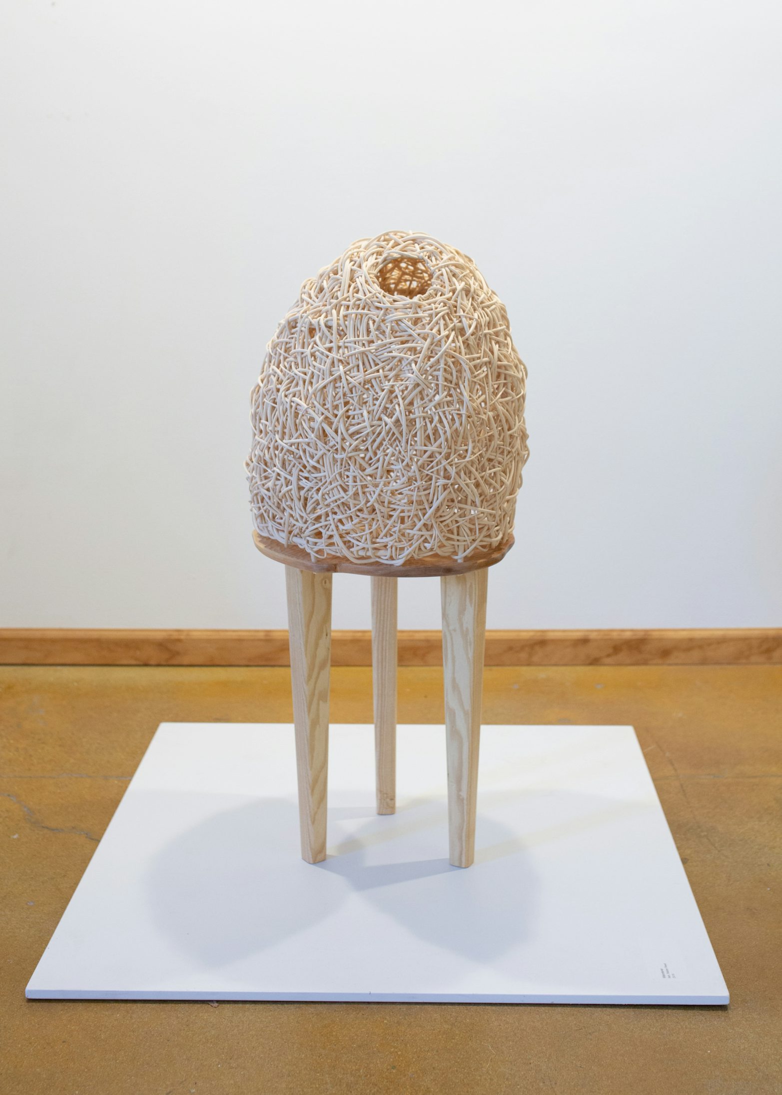 Easton Green Wanderer